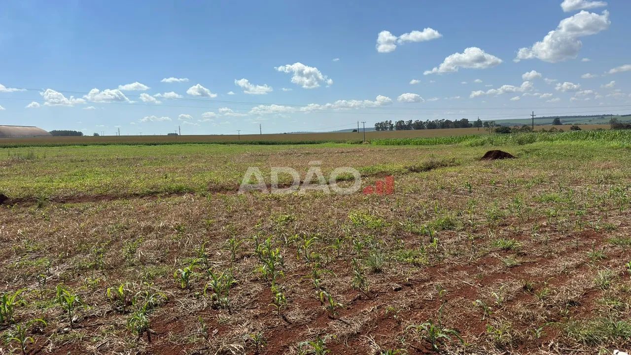 Area de 30.000m² em Jataí - Foto 3