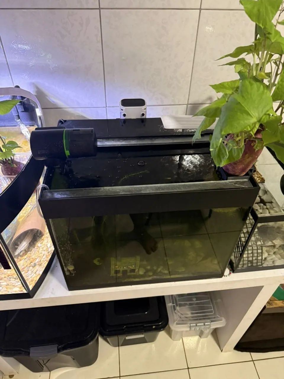 "Aquário 80 litros com sump, bomba d'água, mídias e perlon" (sem peixes)  - Foto 2