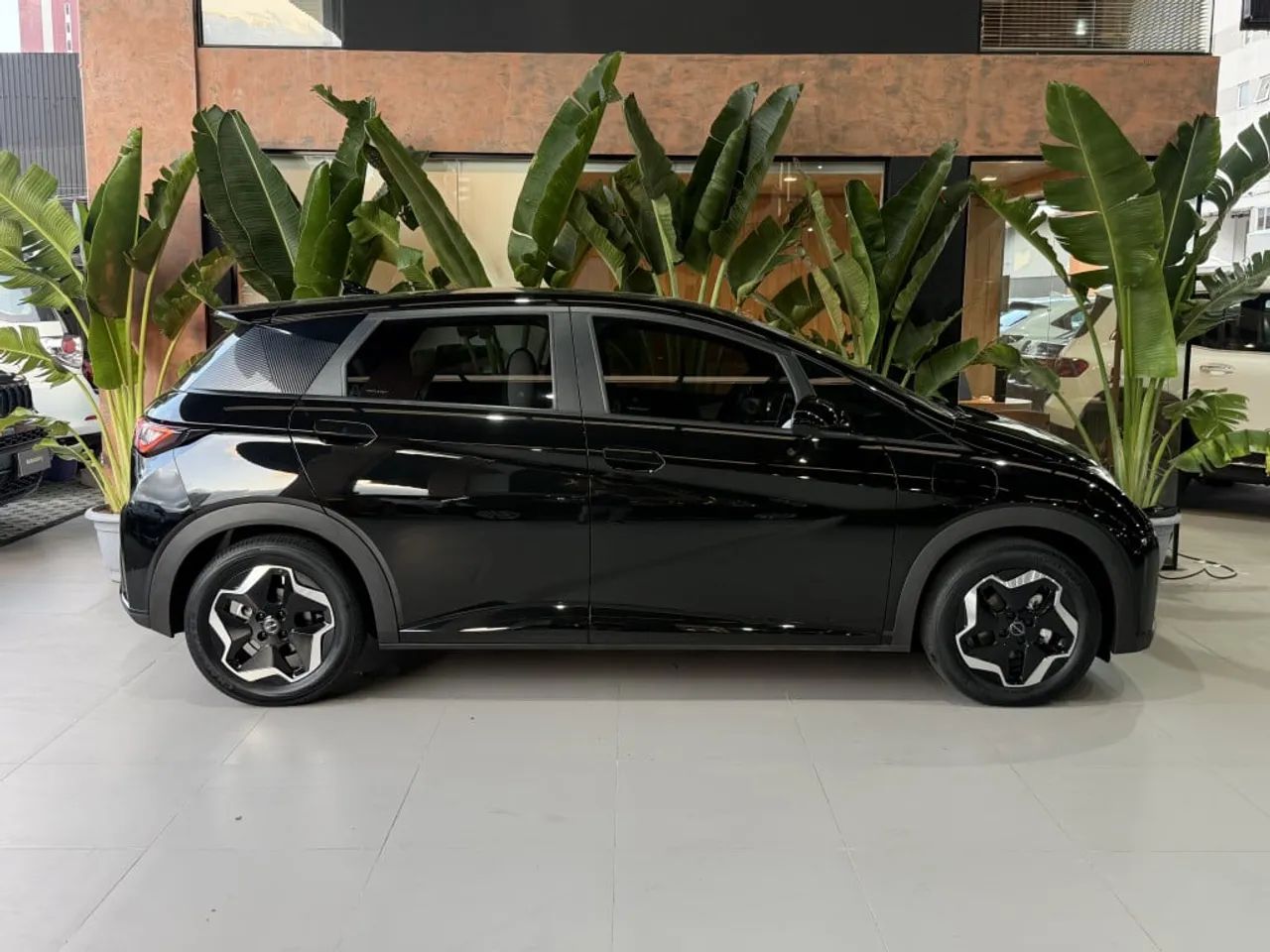 BYD Dolphin GS (Elétrico) 2024 - Foto 3