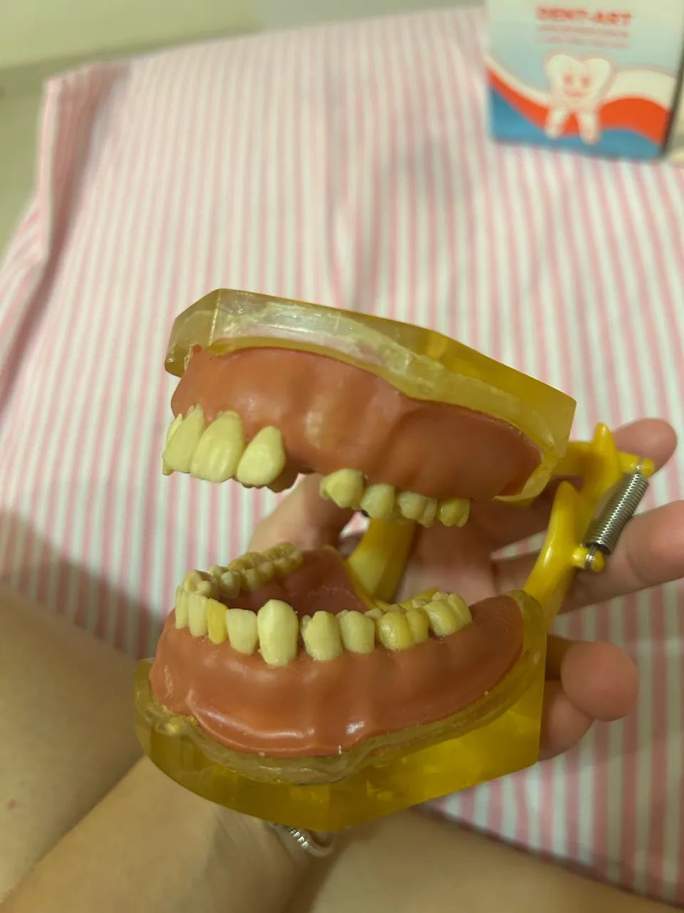 2 Manequins Odontológicos - Excelente Estado - Foto 3