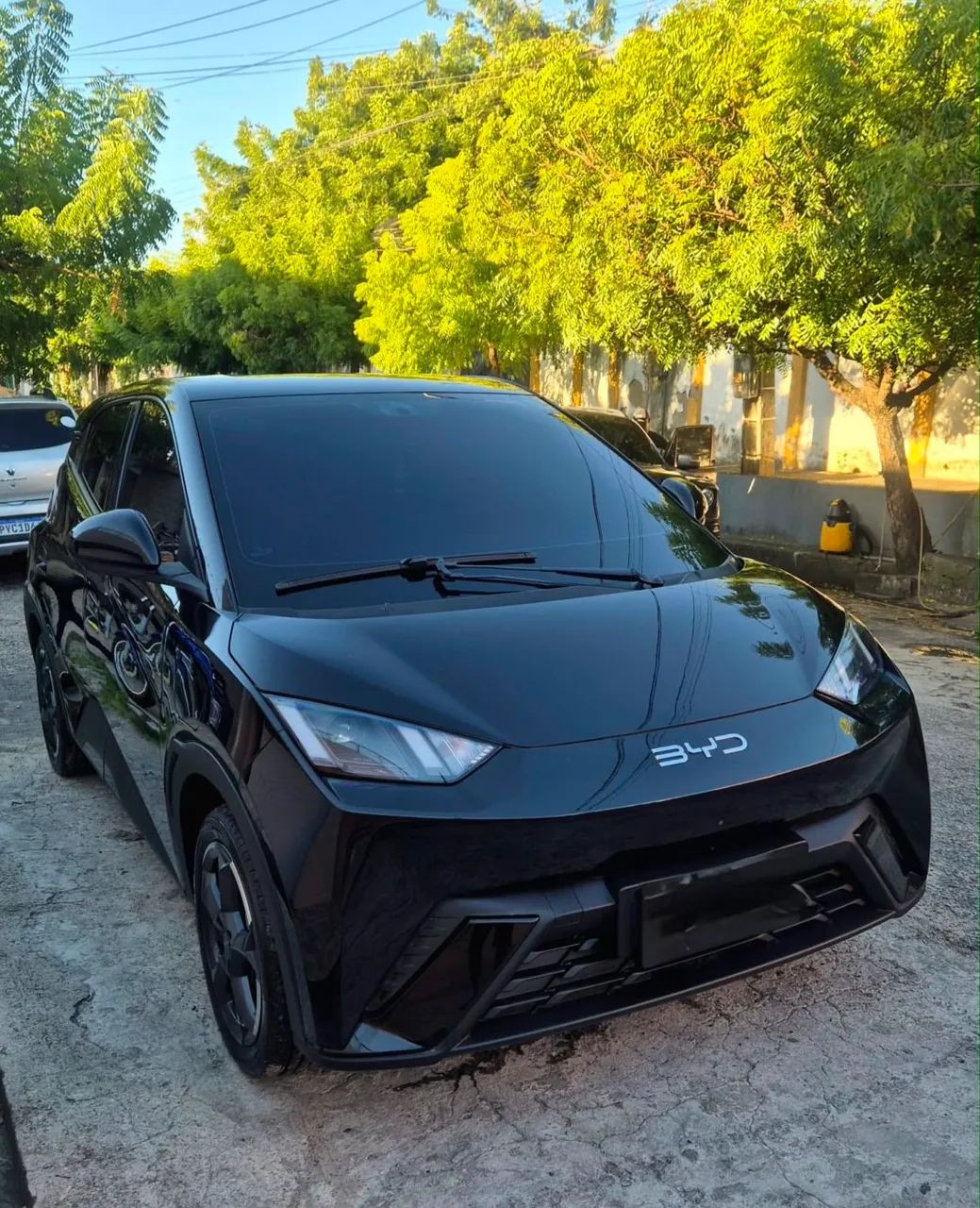 BYD Dolphin Mini (Elétrico) 2025 - Foto 2