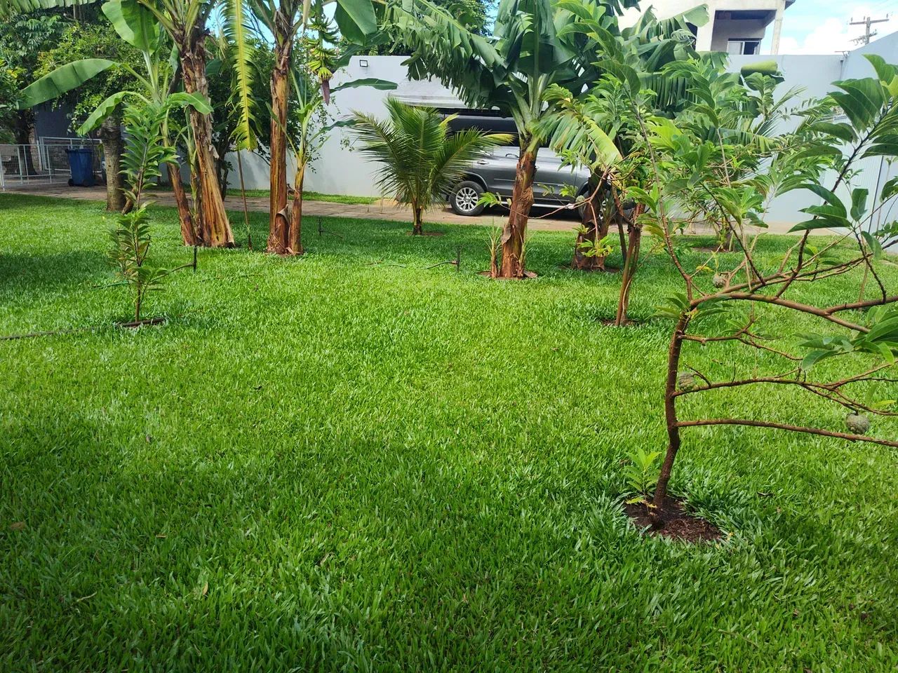 Linda chácara em Cajueiro - Foto 2