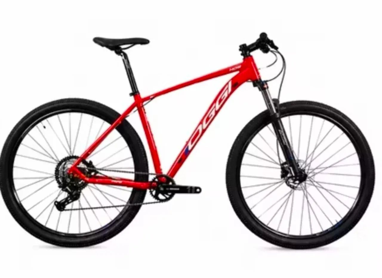 Bike Oggi Aro 29