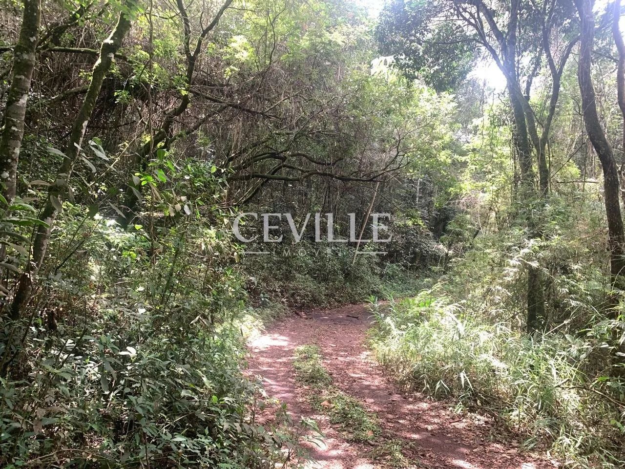 oportunidade de sitio a venda - Foto 10
