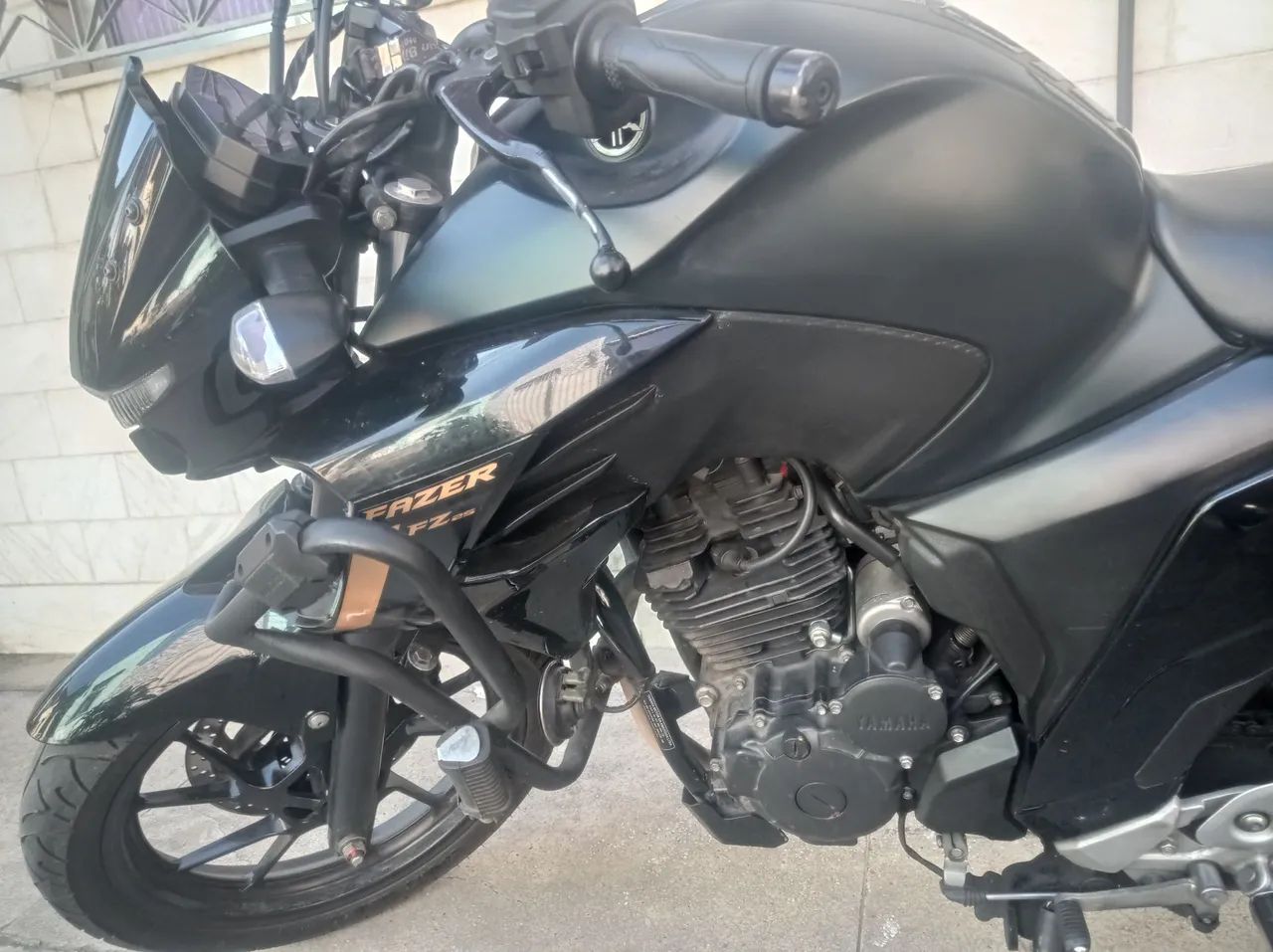 Fz 25 2023/24