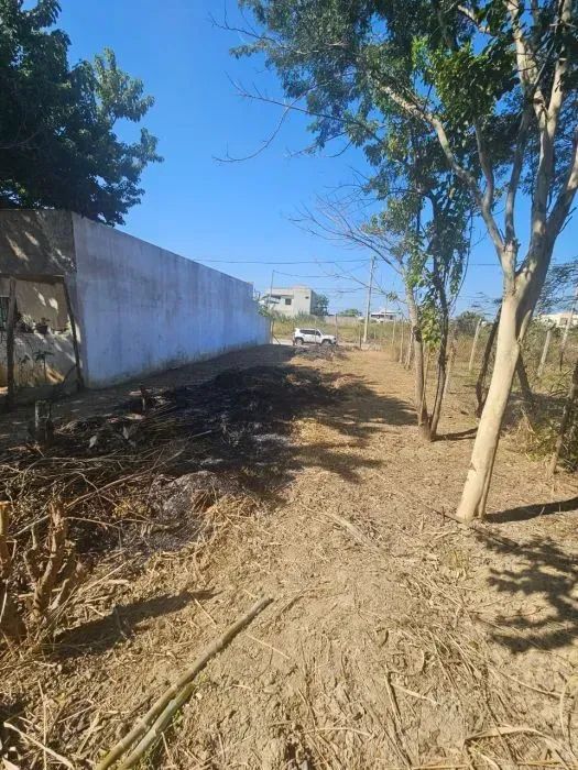 Terreno  no Village