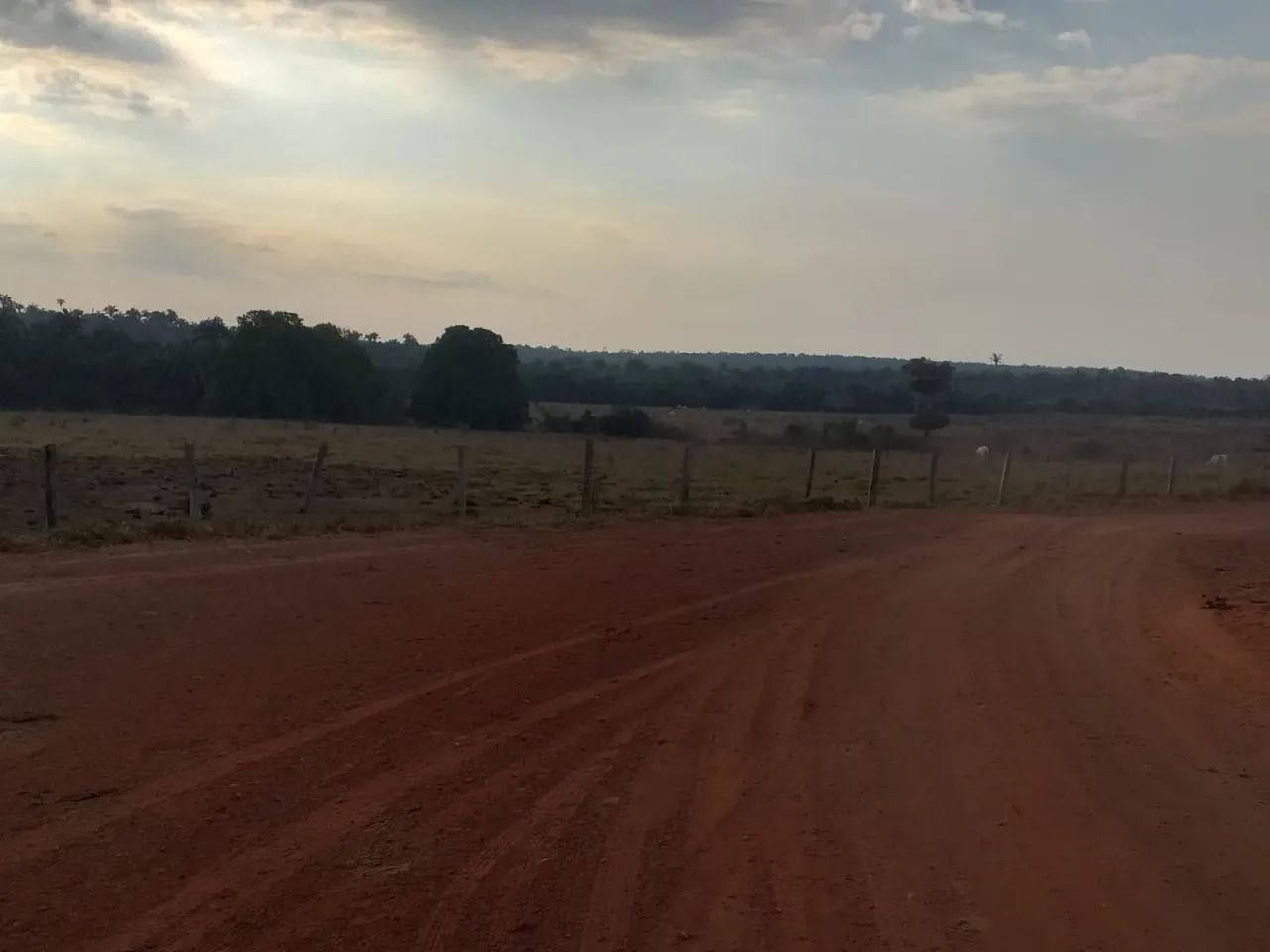 Fazenda a venda em  - Goiatins - Tocantins - Foto 2