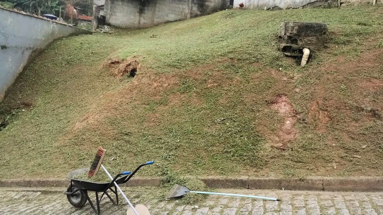 LIMPEZA DE MATO  RIBEIRÃO PIRES ABC - Foto 4