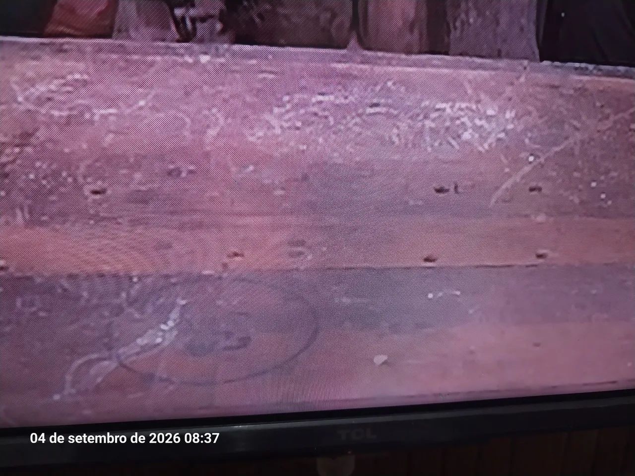 TV 50" TCL - Foto 2