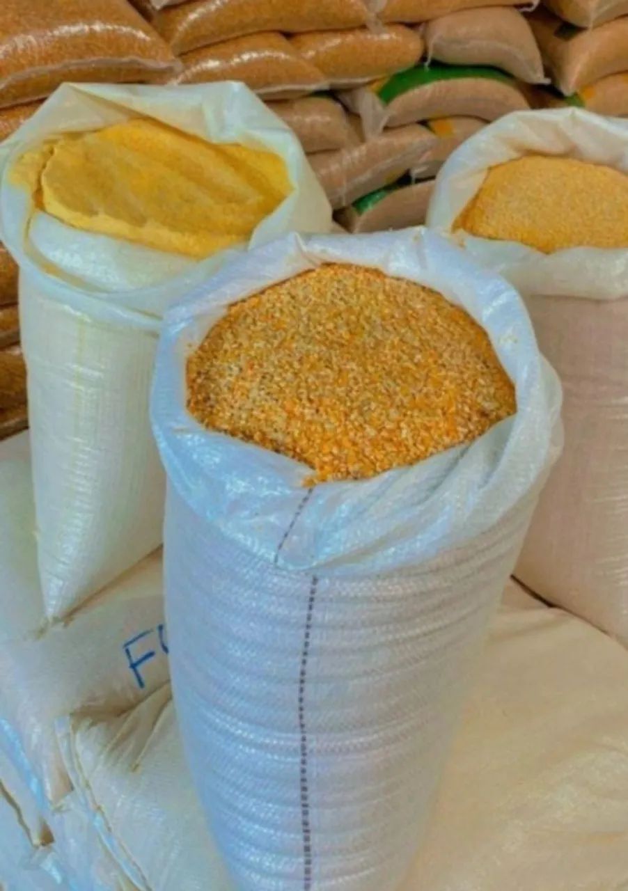 Milho Padrão 2 Consumo Animal Safra 2024 somente ensacado! - Foto 6