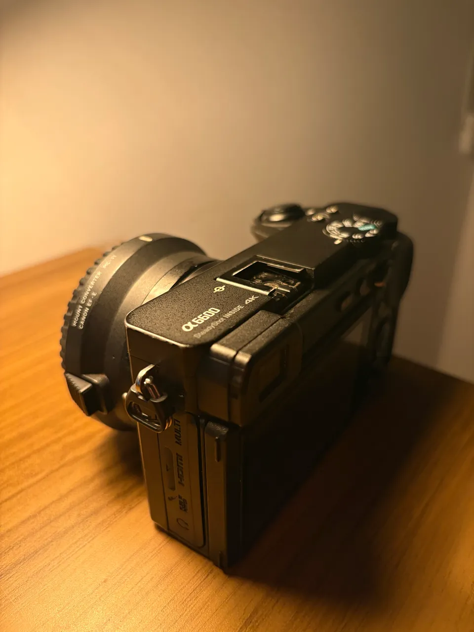 sony a6600