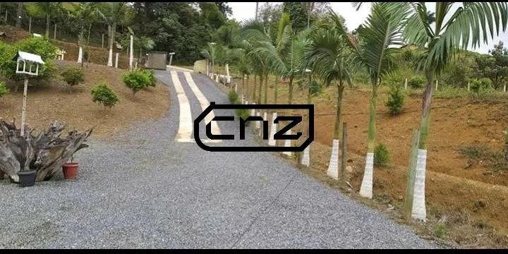 Chácara / Sitio para venda em Vidal Ramos - Foto 4
