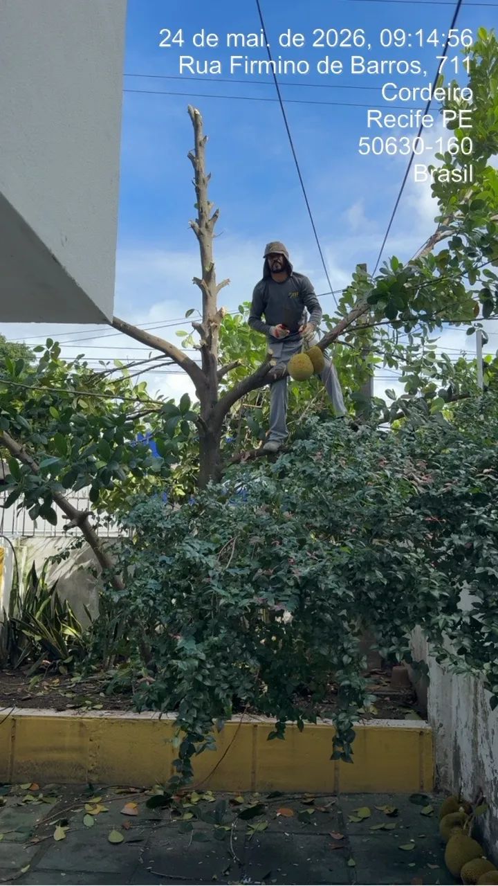 Elétrica, Água, esgoto e Reformas  - Foto 4