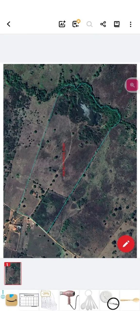 Terreno com curso dagua Palmeira dos Indios - Foto 3