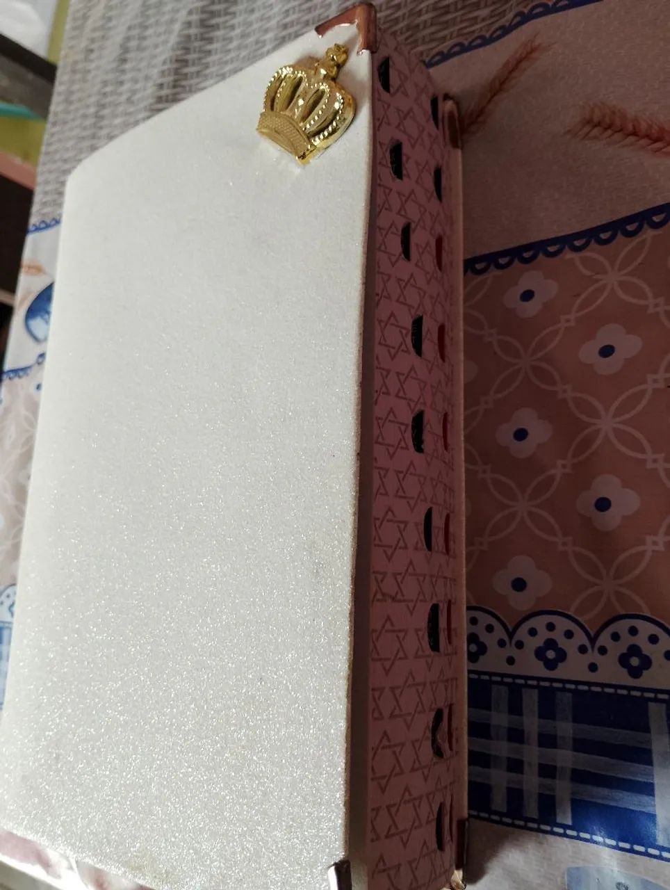 Vendo Bíblia sagrada 