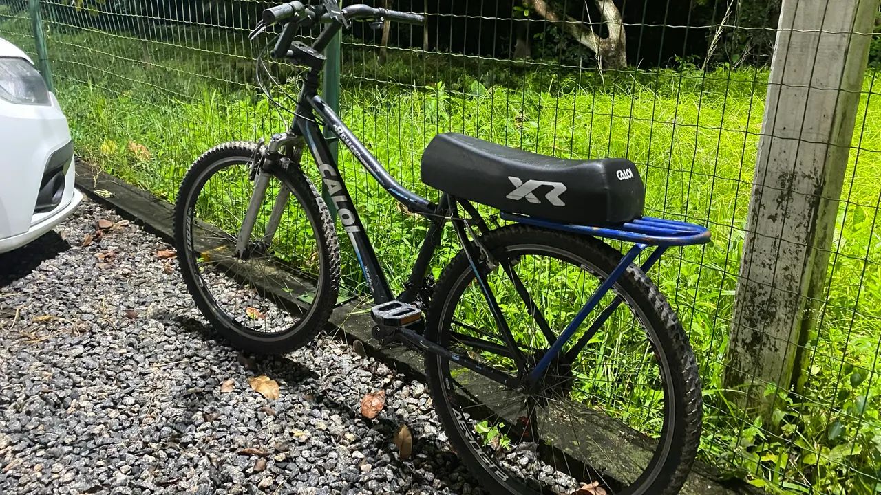 Bicicleta