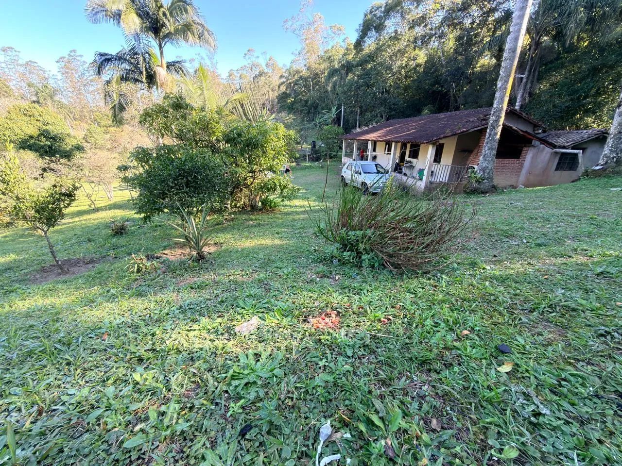 Vendo chacara em biritiba  - Foto 4