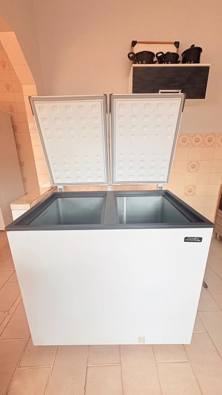 Freezer Horizontal 303L - Foto 3