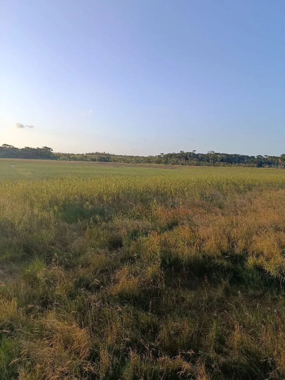 Terreno rural  - Foto 4