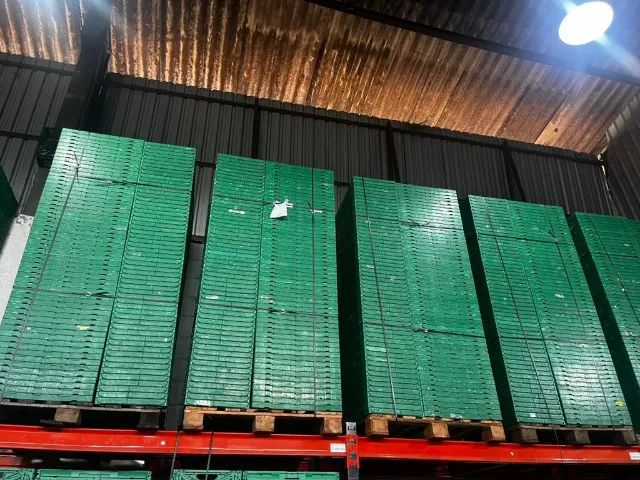 Prestador de Serviço - Descarregamento e Carregamento de Frutas - Foto 3