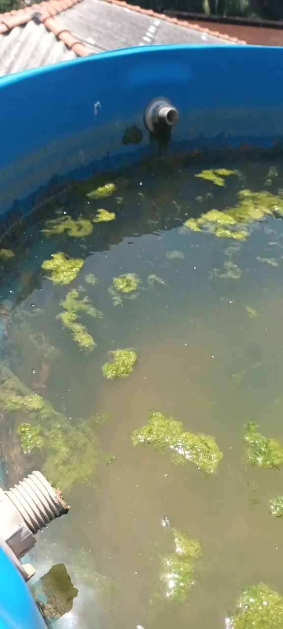 (Limpeza) Higienização de Reservatórios de água e Cisternas  - Foto 4