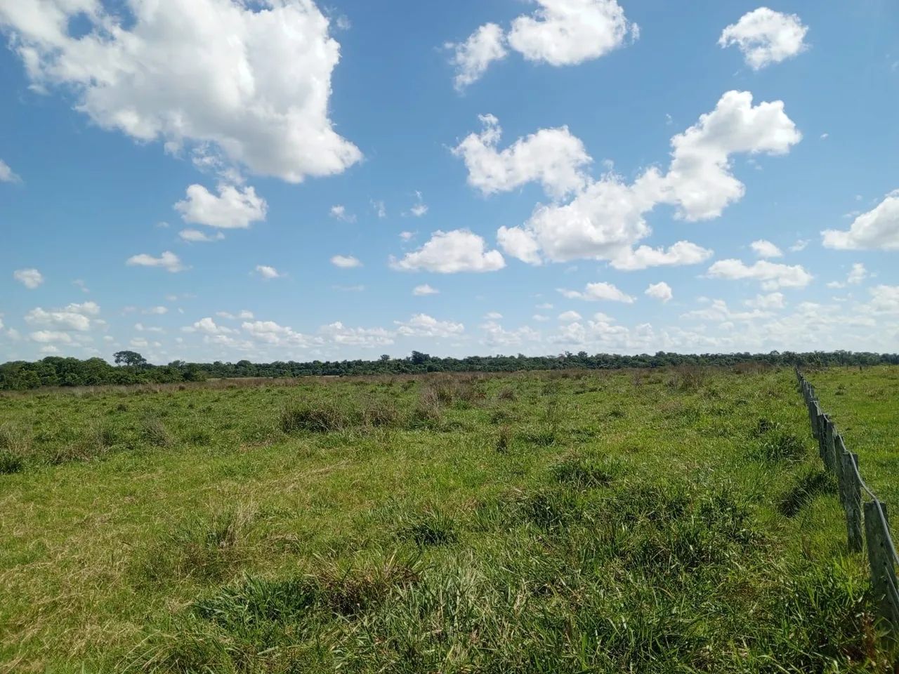 Excelente SITIO a venda seringueiras. - Foto 5