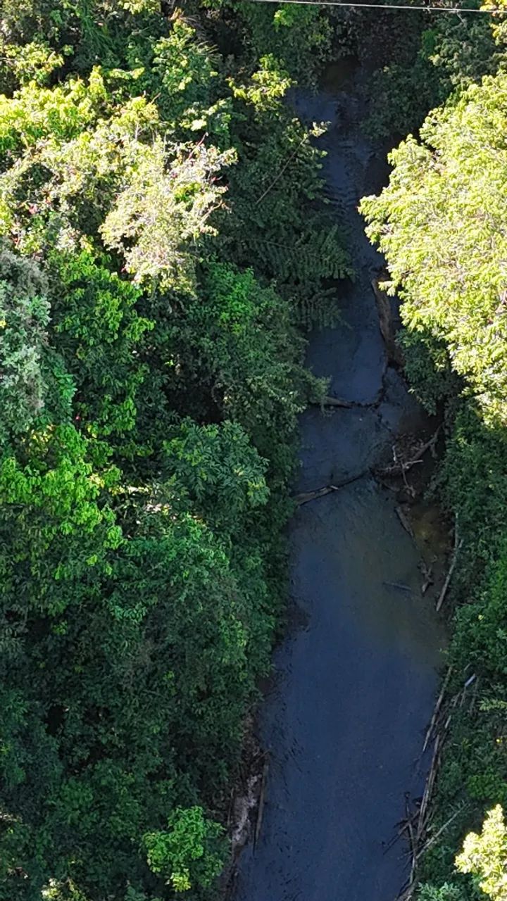 Chácara de 54 Hectares Jaraguari-MS com Rio!! - Foto 2