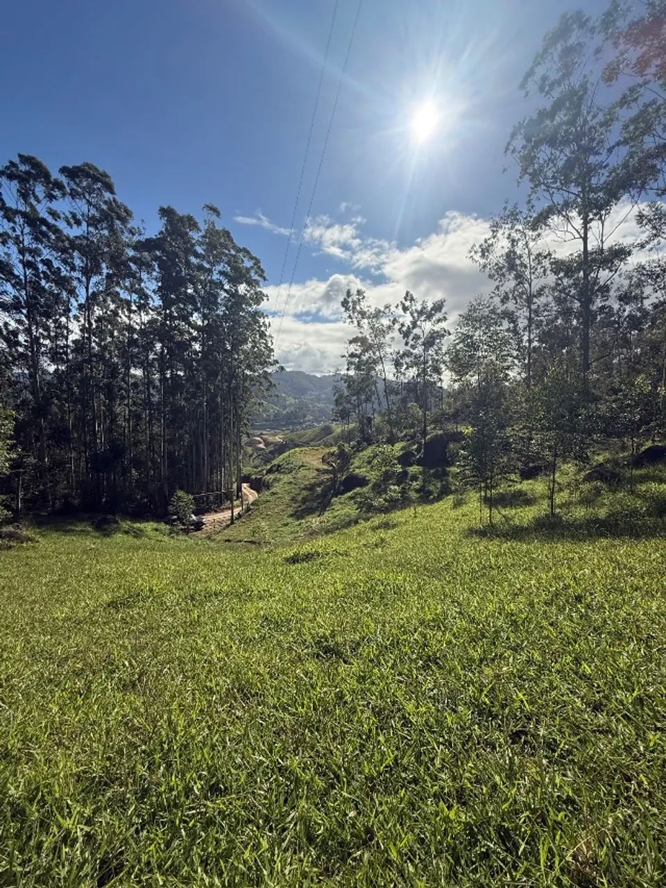 Terreno de duas hectares a venda em Gravatal  - Foto 4