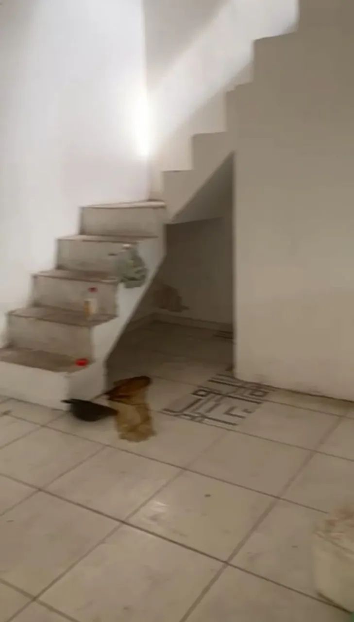 Casa ananindeua prox havan br 316 - Foto 4