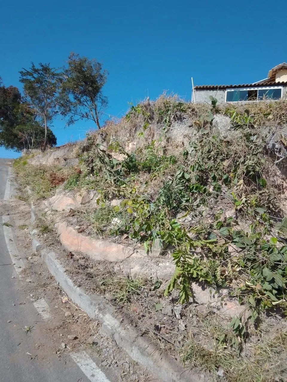 Lote  - Foto 2
