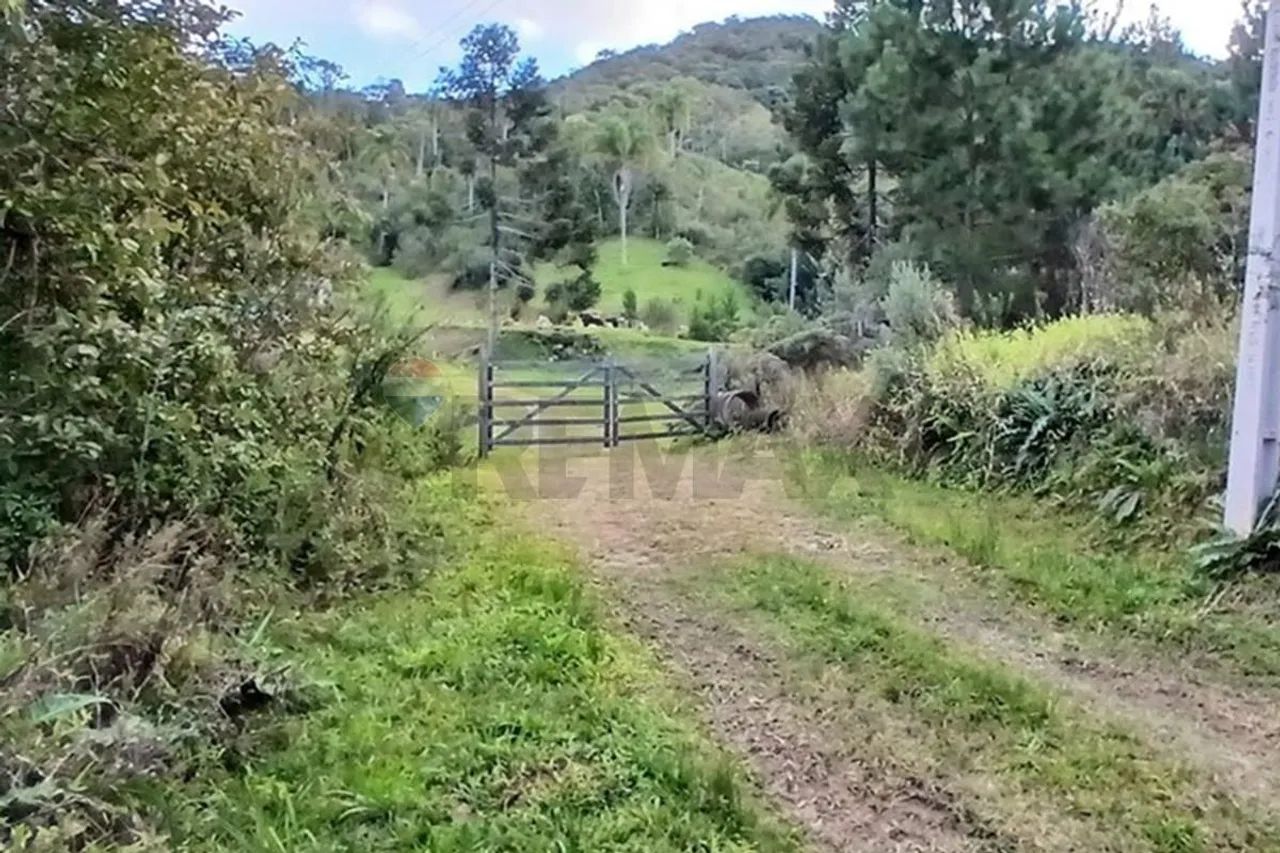 TERRENO A VENDA EM SAO PEDRO DE ALCÂNTARA - Foto 2