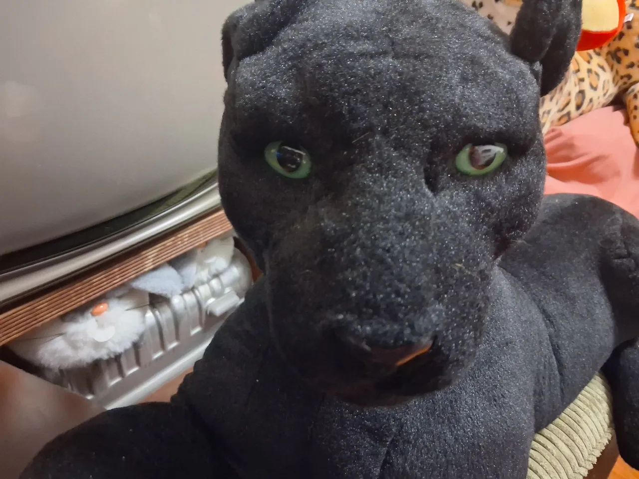 Pelucia  - Foto 4