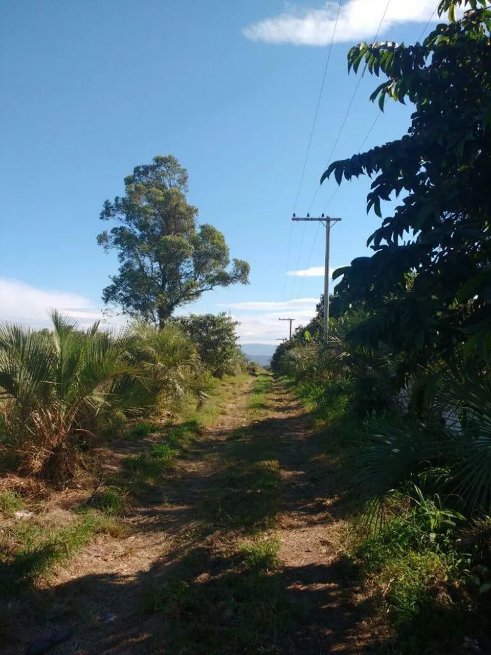 Lote em BR 101 - Alto Arroio - Imbituba/SC - Foto 5
