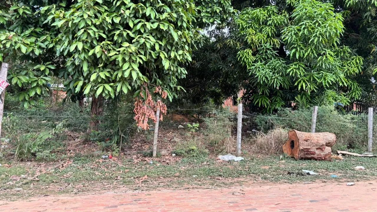 TERRENO - Foto 2