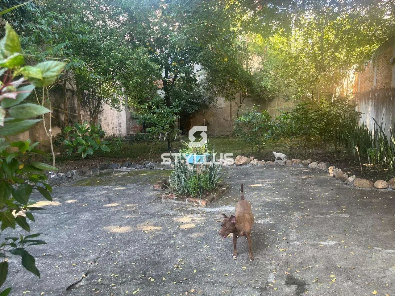 Méier | Casa 4 quartos - Foto 4