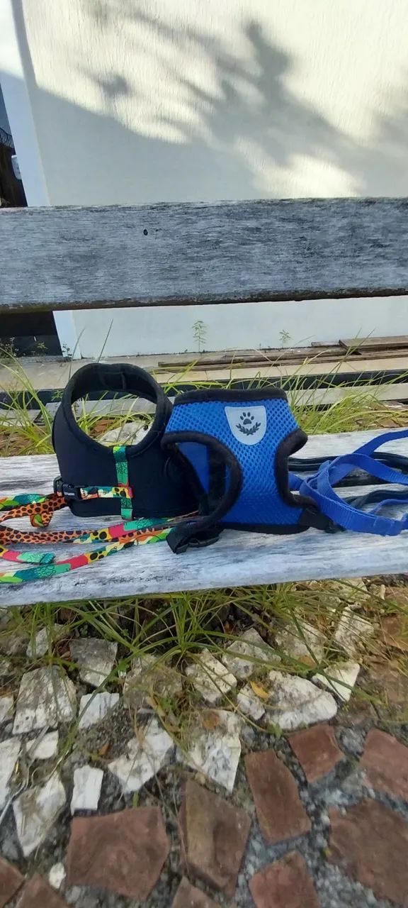 Mochila Transportadora para gatos e Coleiras - Foto 3