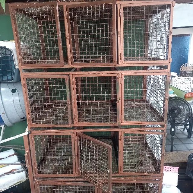 Gaiola de cachorro - Foto 3