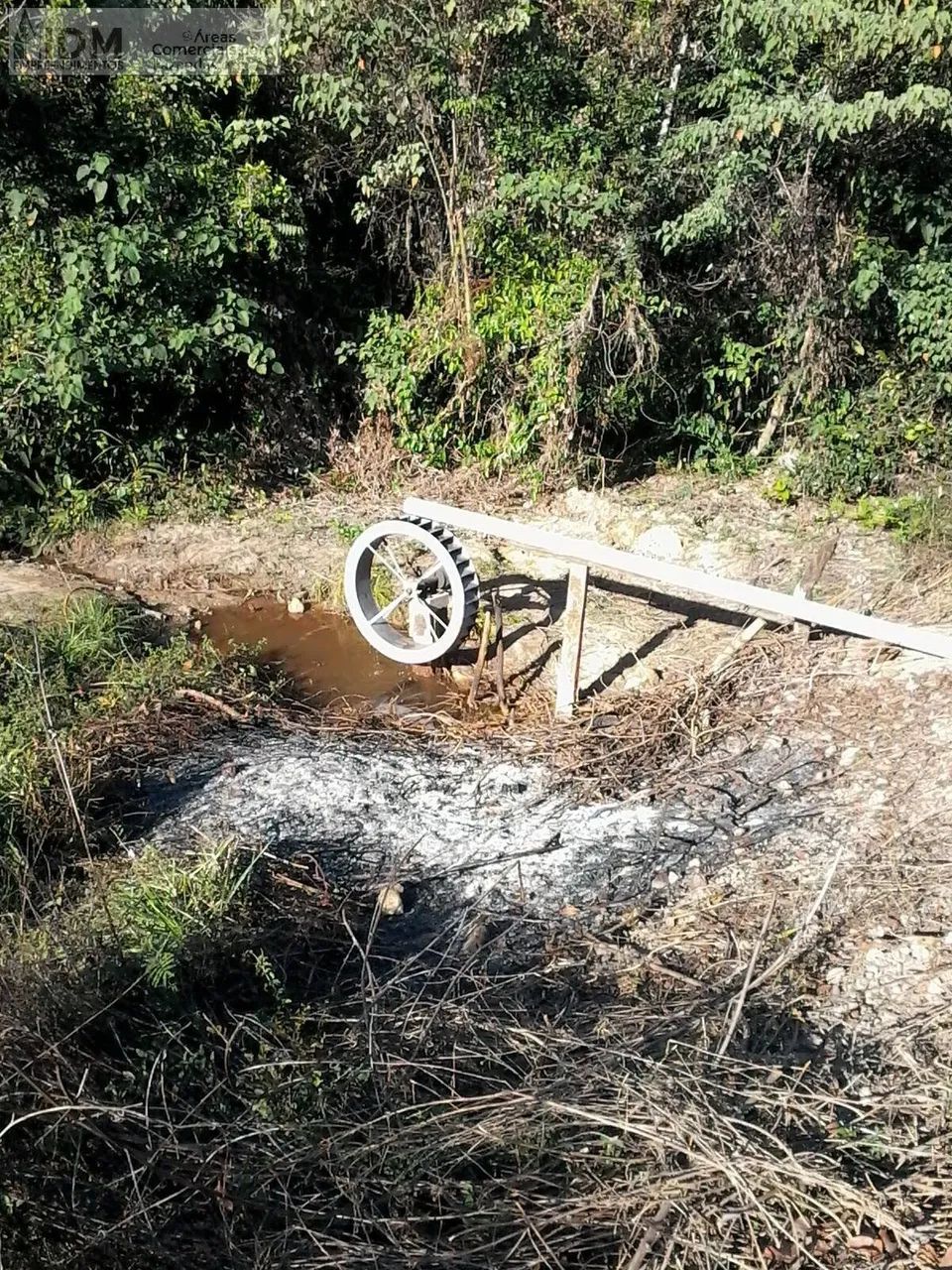 Fazenda agropecuária com 666 ha em Critalândia - TO - Foto 5