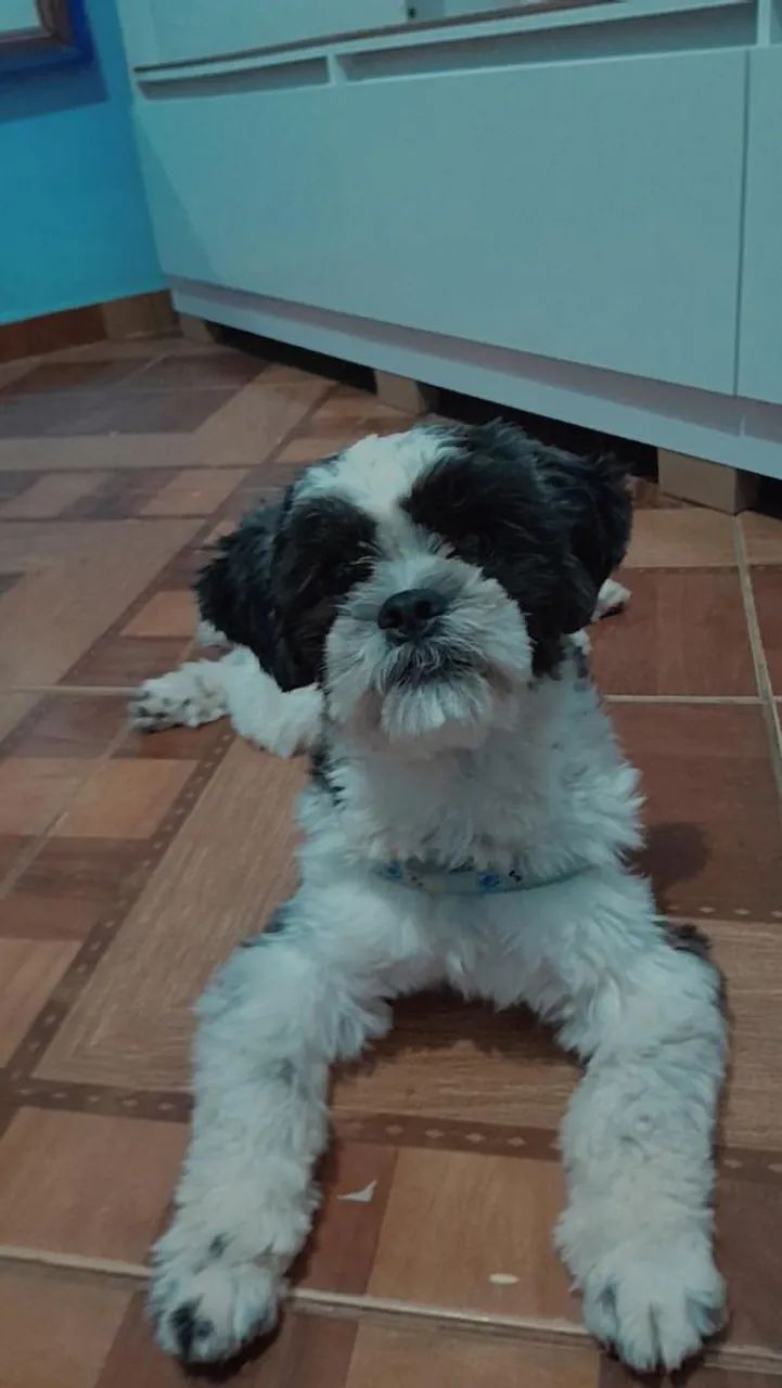 Doação  - Foto 2