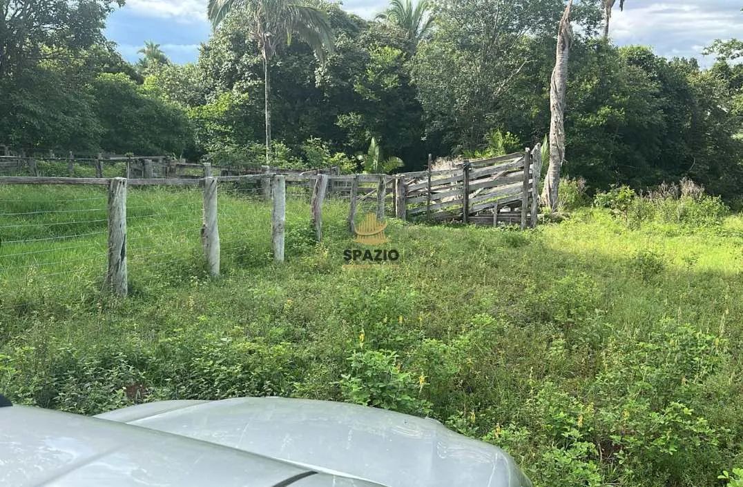 Fazenda, Aldeia, Acorizal - R$ 11 mi, Cod: 169 - Foto 2