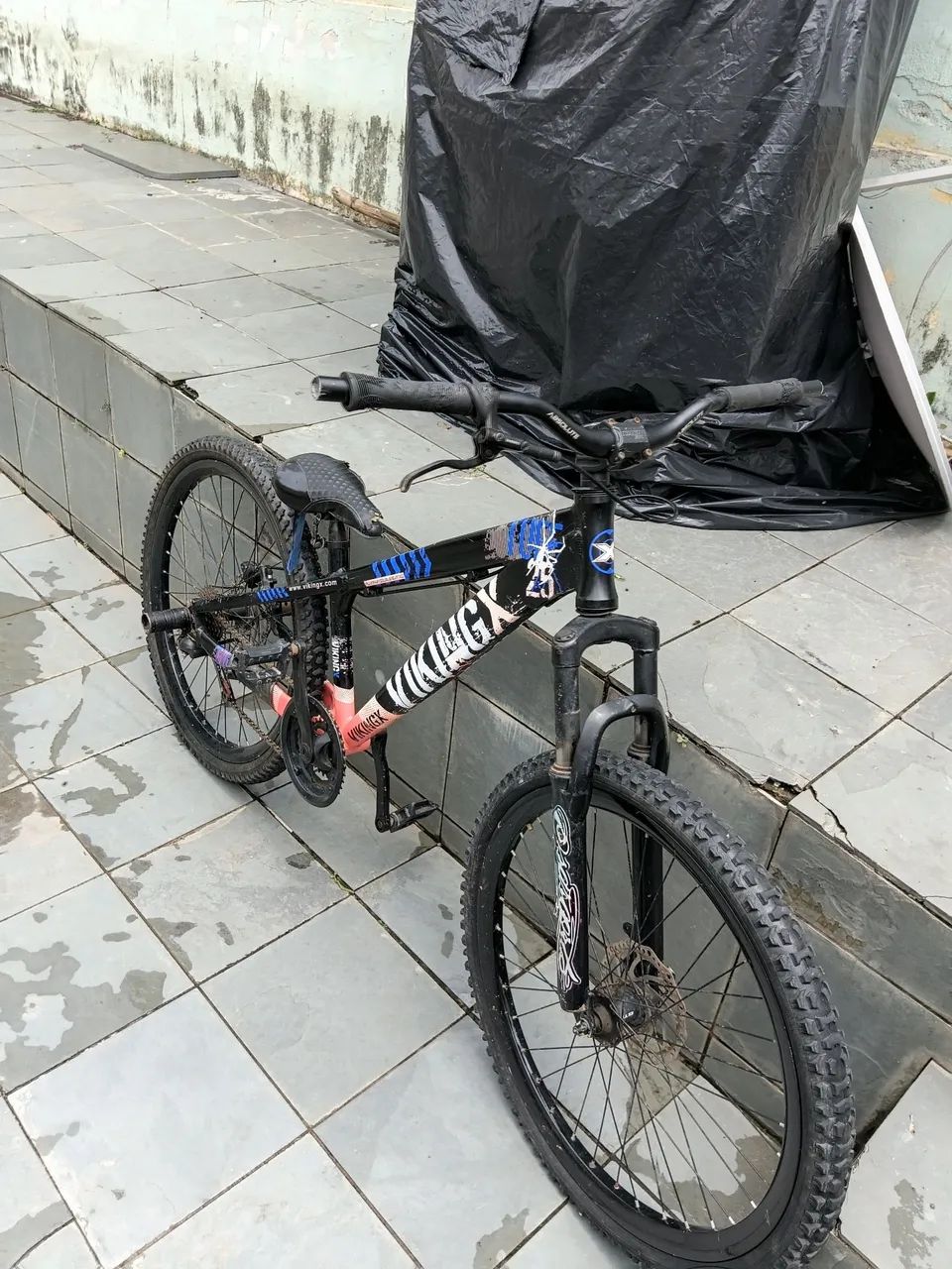 Viking x