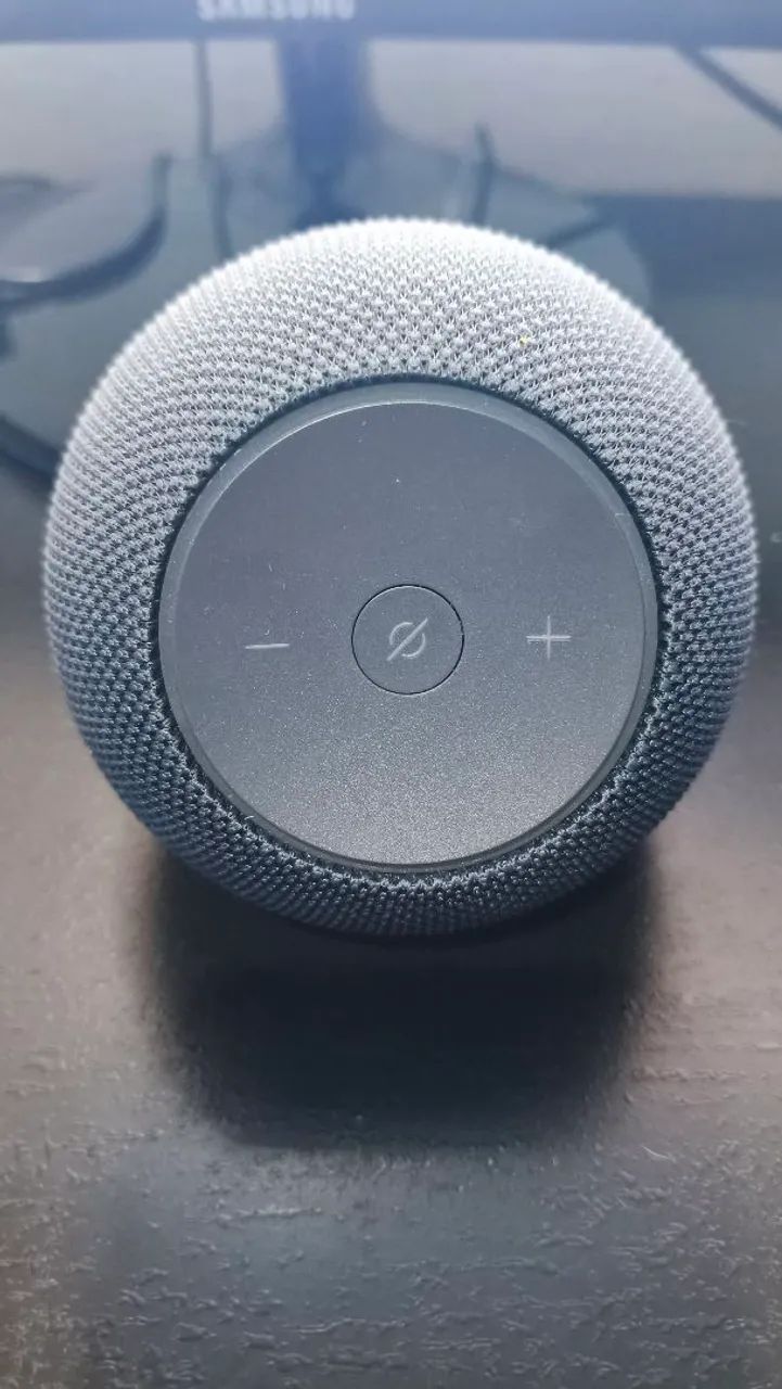 Echo Dot Max 