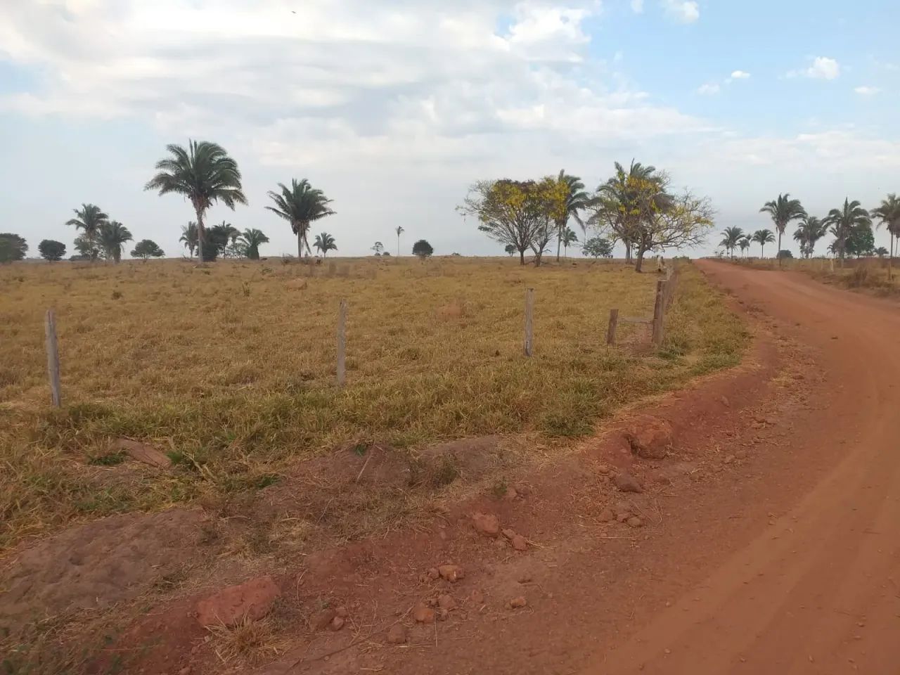 Fazenda a venda em  - Goiatins - Tocantins - Foto 4