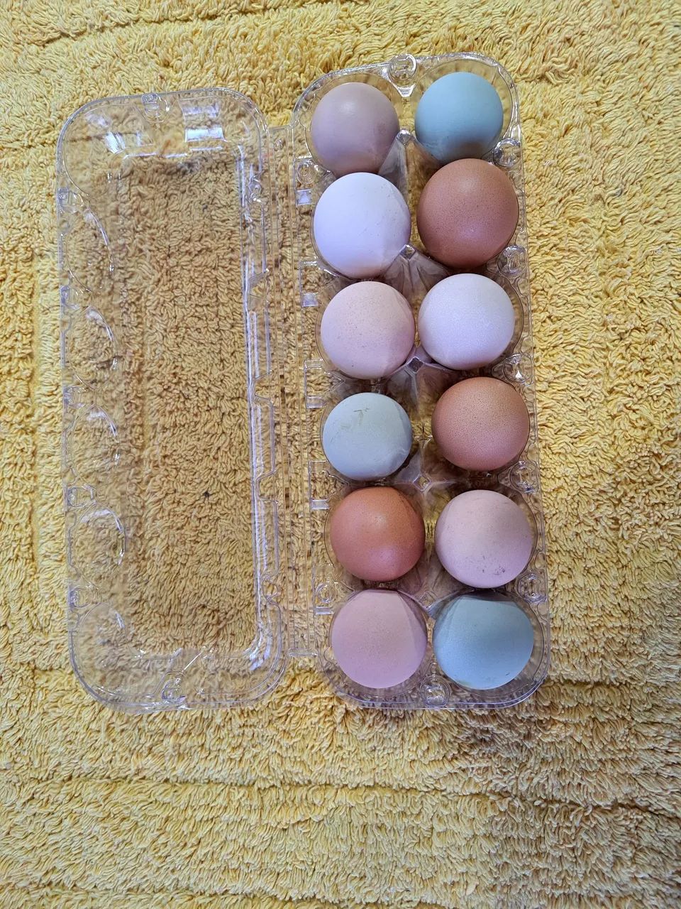 Ovos