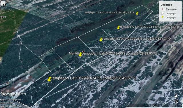 Jenipapo 840.000m2 pasto e floresta nativa - Foto 3