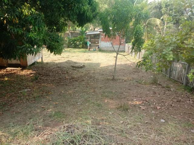 Terreno