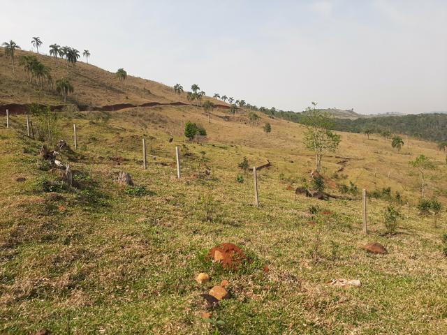 Chácara de 23.5 Alqueires com 22.5 alqueires de pasto - Faxinal do Céu. Pinhão- PR - Foto 17