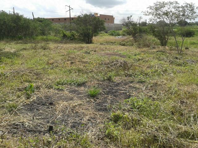 Vendo lote com preço abaixo da tabela em Gravatá PE - Foto 3