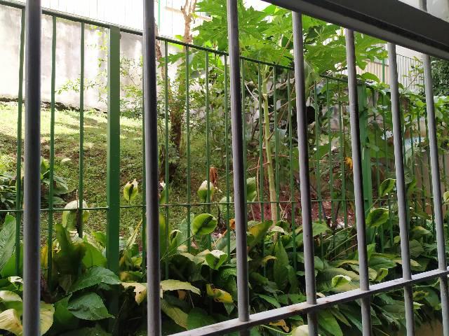 Apartamento para alugar no km 30 da Raposo Tavares em Cotia - Foto 9
