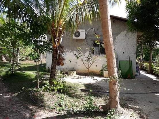 R$ 150 mil reais sitio com 3 hectares , escriturado a 23 km de Castanhal - Foto 8
